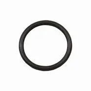 1140450 O-Ring Minimatic By Ar Pumps (3391) 1