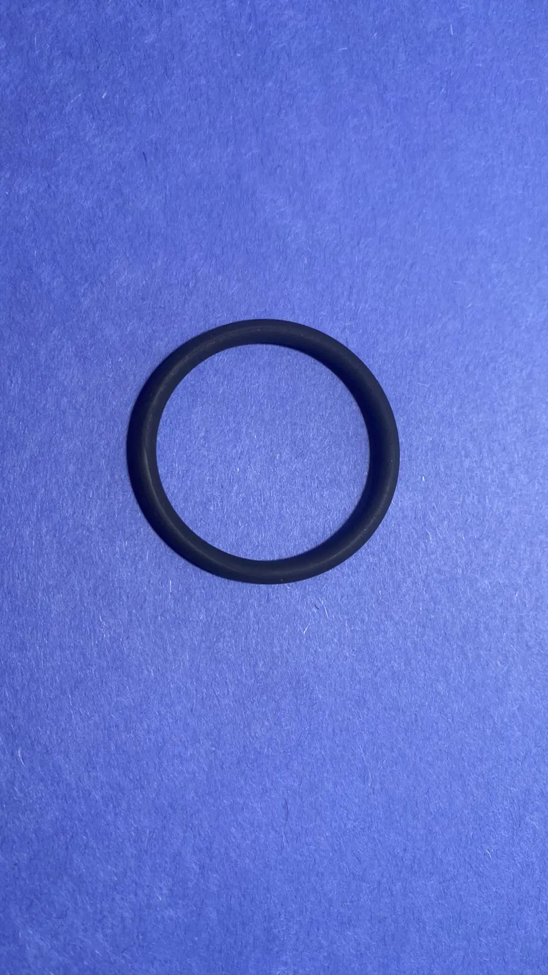 1210.0506 O-Ring P40 By Comet Pumps (7347.060) 1