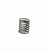 12328 Kick Back Valve Spring By Giant Pumps (2541) 1