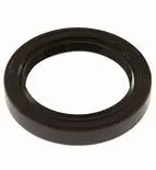 125351 Seal, Oil By Cat Pumps (3924) 1