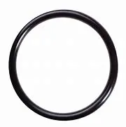 13963 O-Ring, 70D (4413) 1