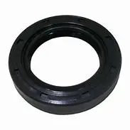 141852 Oil Seal, Crankcase By Cat Pumps (2882) 1