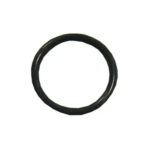 12007 O-Ring By Giant Pumps (3769) 1