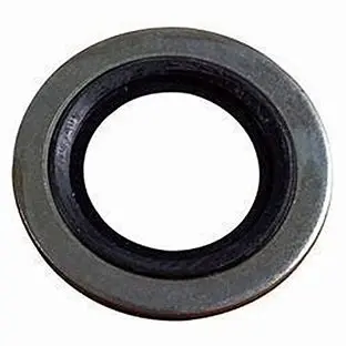 1560280 Washer W/Seal Ring By Ar Pumps (6086) 1