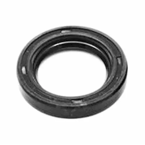 19.0066.00 Oil Seal By Comet Pumps (Need 3) 1