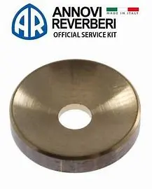 1981130 Plunger Shoe Sjv By Ar Pumps (3844) 1
