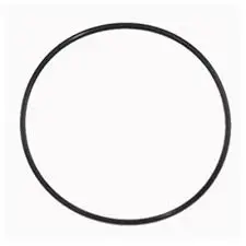 23172 O-Ring By Cat Pumps (5153) 1