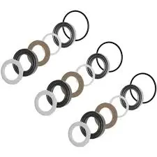 2409.0114.00 Piston Kit By Comet Pumps (7307.102) 1