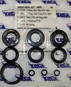 30629 Seal Kit 45 For Cat Pumps (2698) 1