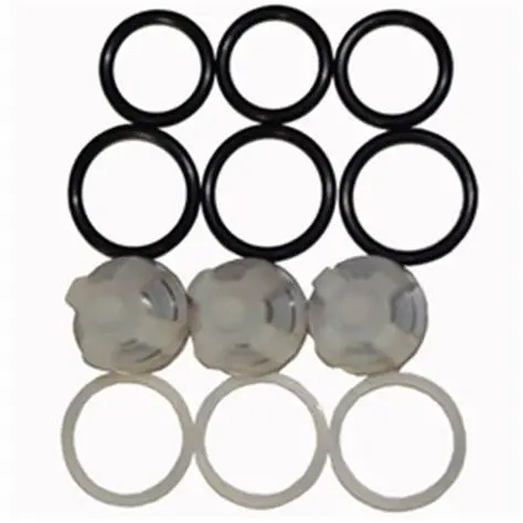 33060 Valve Kit 5Cp3120 By Cat Pumps (4646) 1