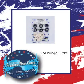 33799 Kit, Seal, Nbr, W/S-Spring 70 By Cat Pumps (5411) 1