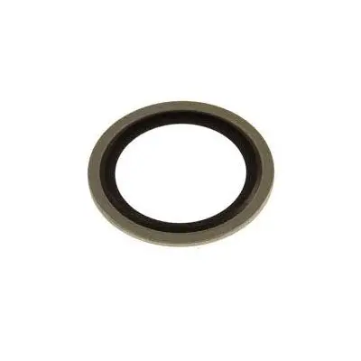 Cat Pump 33854 Washer, Seal (2814) 1