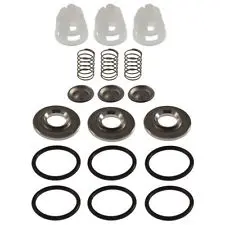 34052 Valve Kit For Cat Pumps 2Sf (2713) 1