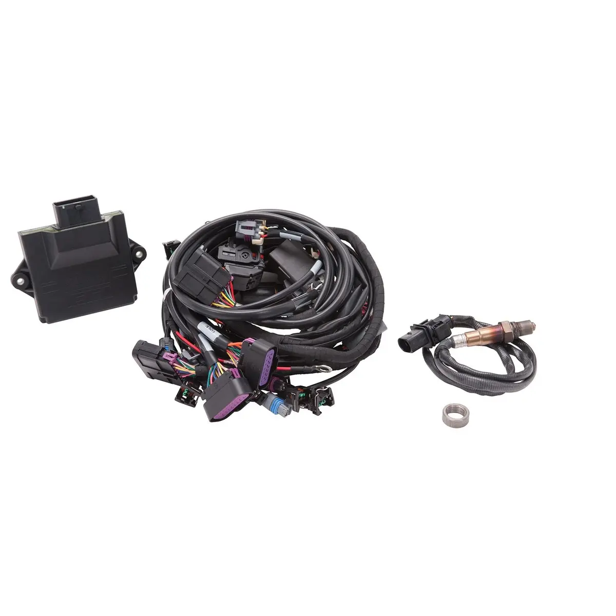 Edelbrock Pro-Flo 4 Efi - Ecu & Engine Harness Kit For Gen Iv 58X Ls Engines W/O Tablet 1