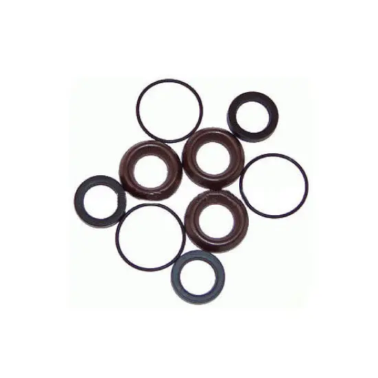 General Pump Hd Dual Lance O-Ring & Seat Kit (3112) 1