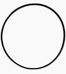 43343 O-Ring Bearing Case By Cat Pumps (2739) 1