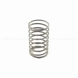 43750 Valve Spring By Cat Pumps (2747) 1