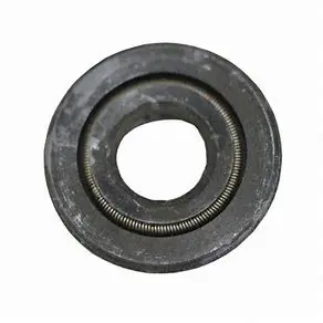 44876 Lo-Pressure Seal By Cat Pumps (2861) 1