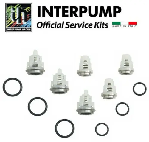 Gp Kit 269 Check Valve For Ep, Es Pumps (4612) 1