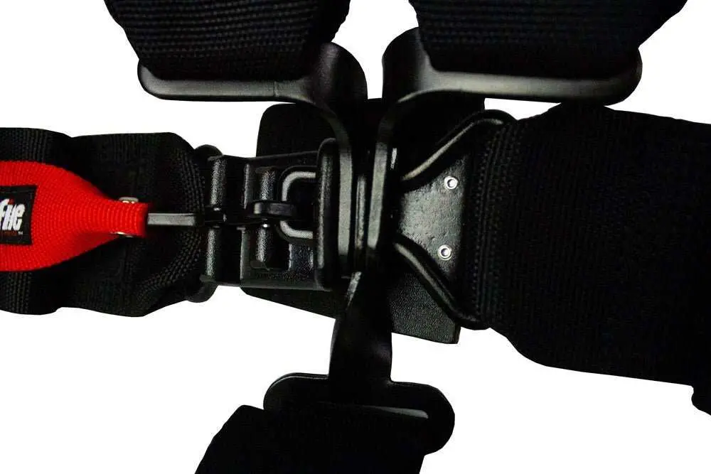 5-Point Sfi, Ez-Adjust, 3" Harness By Dragonfire Racing 2