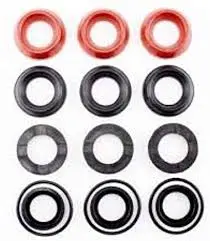 5019.0064.00 Packing Seal Kit By Comet Pumps (5259) 1