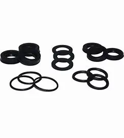 5019.0667.00 Piston Seal Kit Bxd Series By Comet Pumps (5608) 1