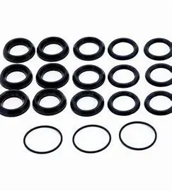 5019.0646.00 Packing Kit Tw8030s By Comet Pumps (6459) 1