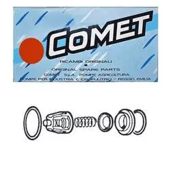 5025.0014.00 Check Valve Kit By Comet Pumps  (5731) 1