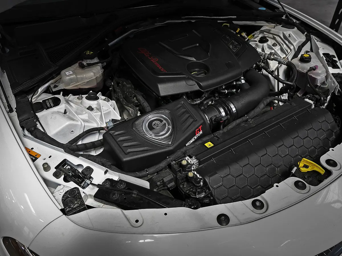 Afe: Momentum Gt Cold Air Intake System W/Pro Dry S Filter Media Alfa Romeo Giulia 17-19 I4-2.0L (T) 2