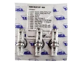76260 Valve Kit By Cat Pumps (4127) 1