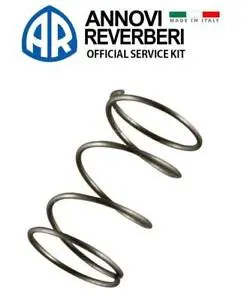 1560520 Spring For Ar Triplex Pumps (2897) 1
