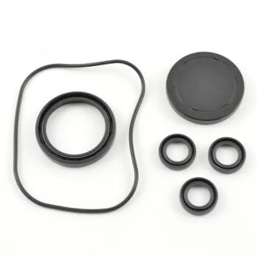 Ar Pump Kit 2188 Oil Seals Rsv (6342) 1