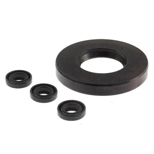 Ar Pump Kit 2236 Oil Seals Rmv & Rmw (3608) 1