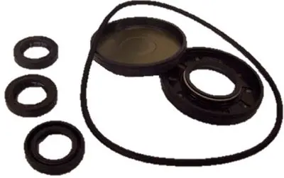Ar Pump Kit 2786 Oil Seals Xmv-Xma (6480) 1