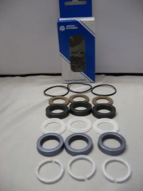 Kit 2874 Packing 18Mm Sxw By Ar Pumps (6477) 1