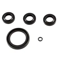 Kit 2591 By Ar Pump Oil Seals Xjv (1400) 1