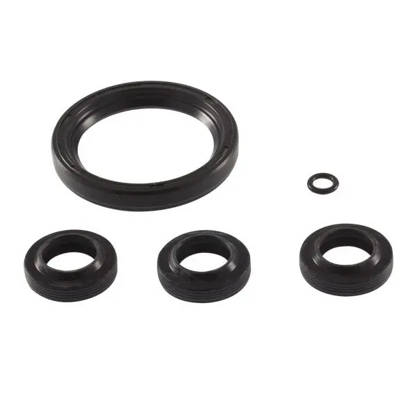 Kit 2797 Oil Seal Xj Sj By Ar Pumps (6060) 1