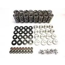 Btr:  Lt4 .660" Double Spring Kit  [Corvette Z06 Zr1, Camaro Zl1, Cts V, Lt4 Lt5] 1