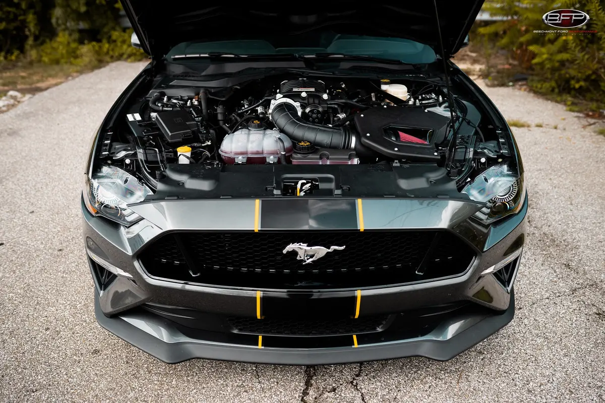 Beechmont Ford Performance (Bfp):  Roush Supercharged Ford Mustang 700Hp+ 1