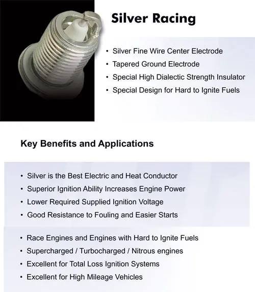 Brisk: Silver Spark Plugs  [Lt Port Injected Engines] 1