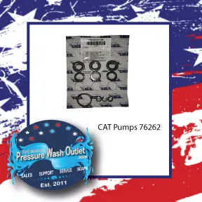 76262 Kit Seal By Cat Pumps (4132) 1