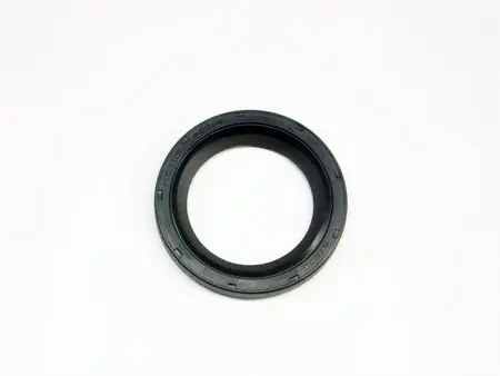 Gm: Timing Chain Damper Seal 1