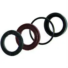 Kit 1874 Packing Kit 18Mm By Ar Pumps (3383) 1