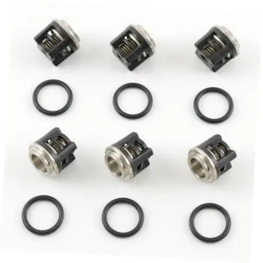 Kit 2864 Check Valves Rk-Rka By Ar Pumps (6474) 1
