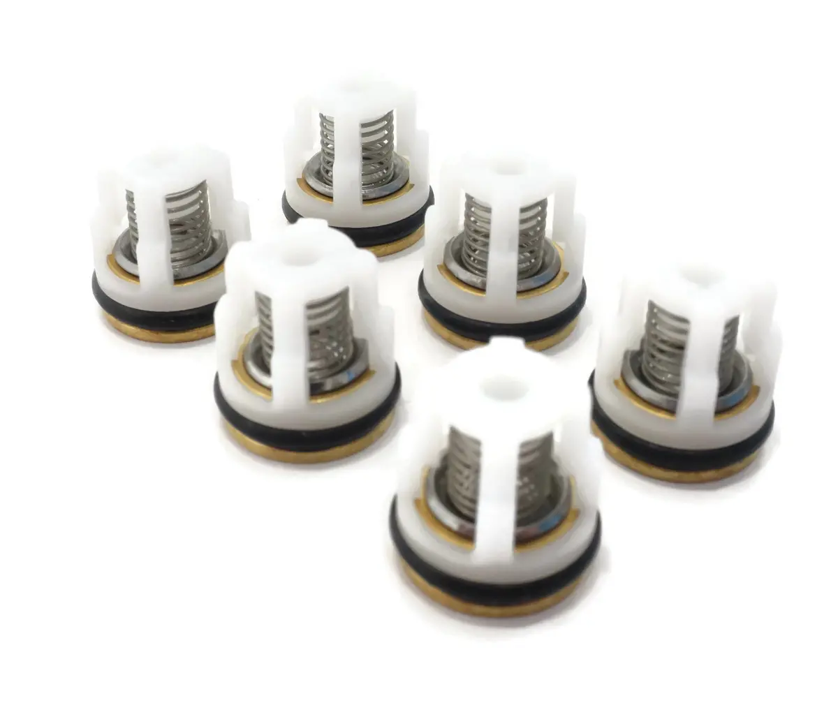 Kit 42123 Check Valve Rmv-Rmw By Ar Pumps (6295) 1