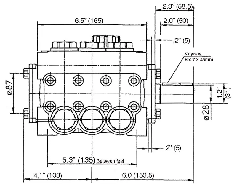 P420ar Pump By Giant Pumps (3158) 2