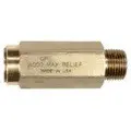 Safety Relief Valve 1/2Mpt 1000-6000 Psi (2177) 1