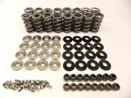 Btr: Ls .660 Double Spring Kit 1