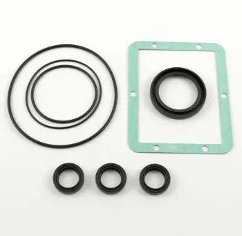 Ar Pump Kit 1872 Oil Seals Xta Xtv N Version (3387) 1