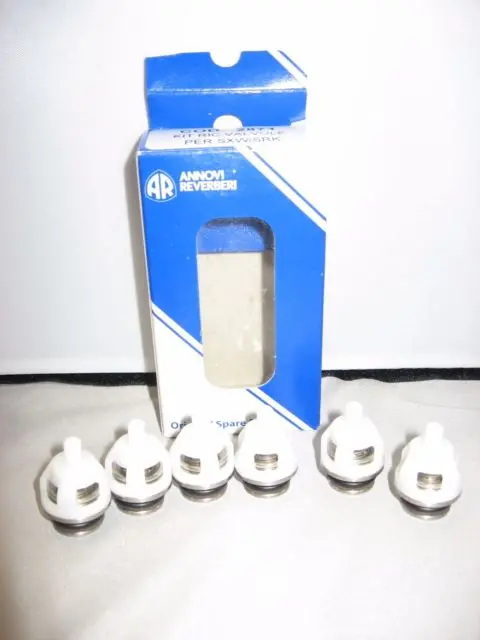 Kit 2871 Check Valves Sxw By Ar Pumps (6475) 1